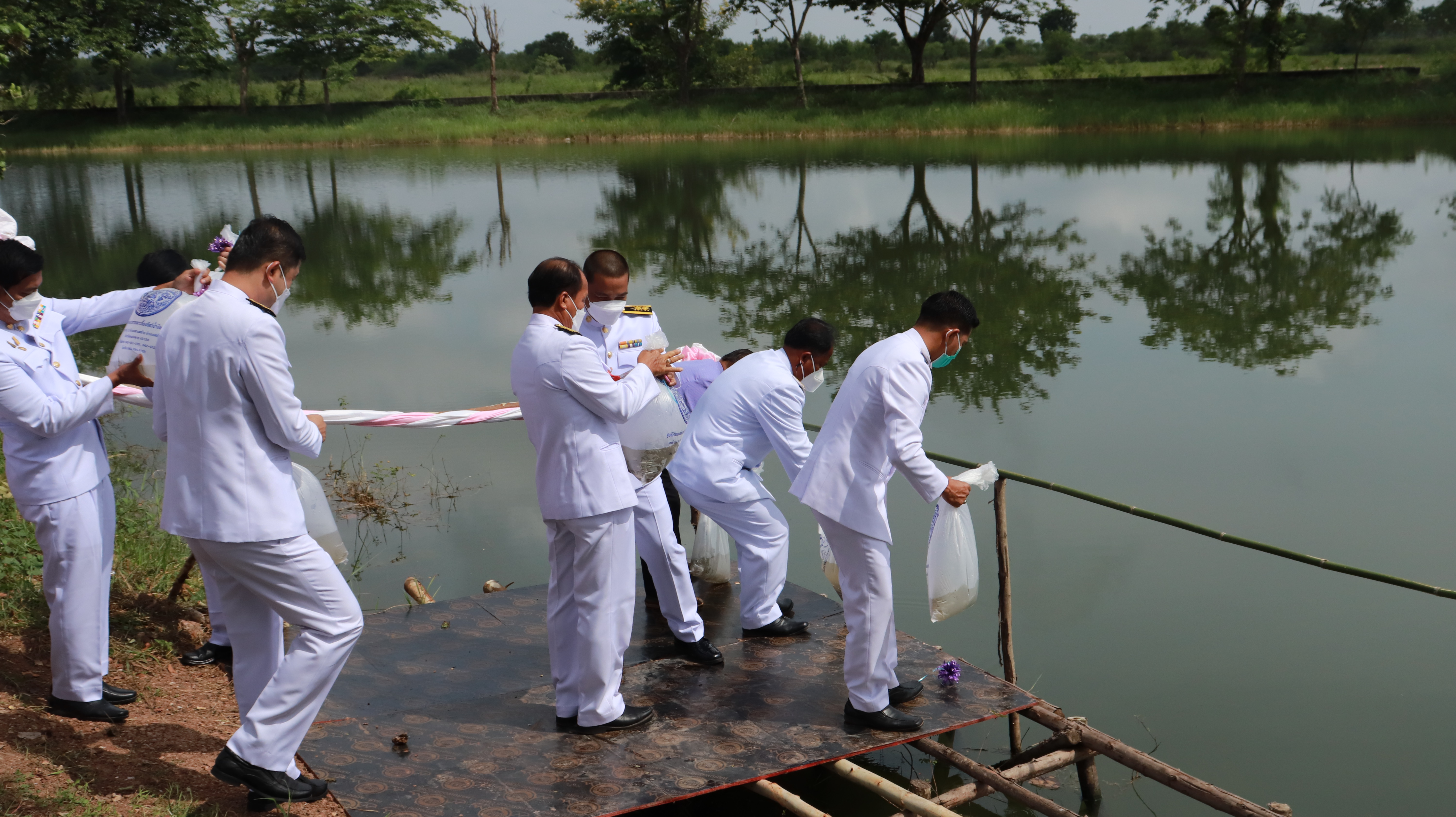 ภาพที่ 43