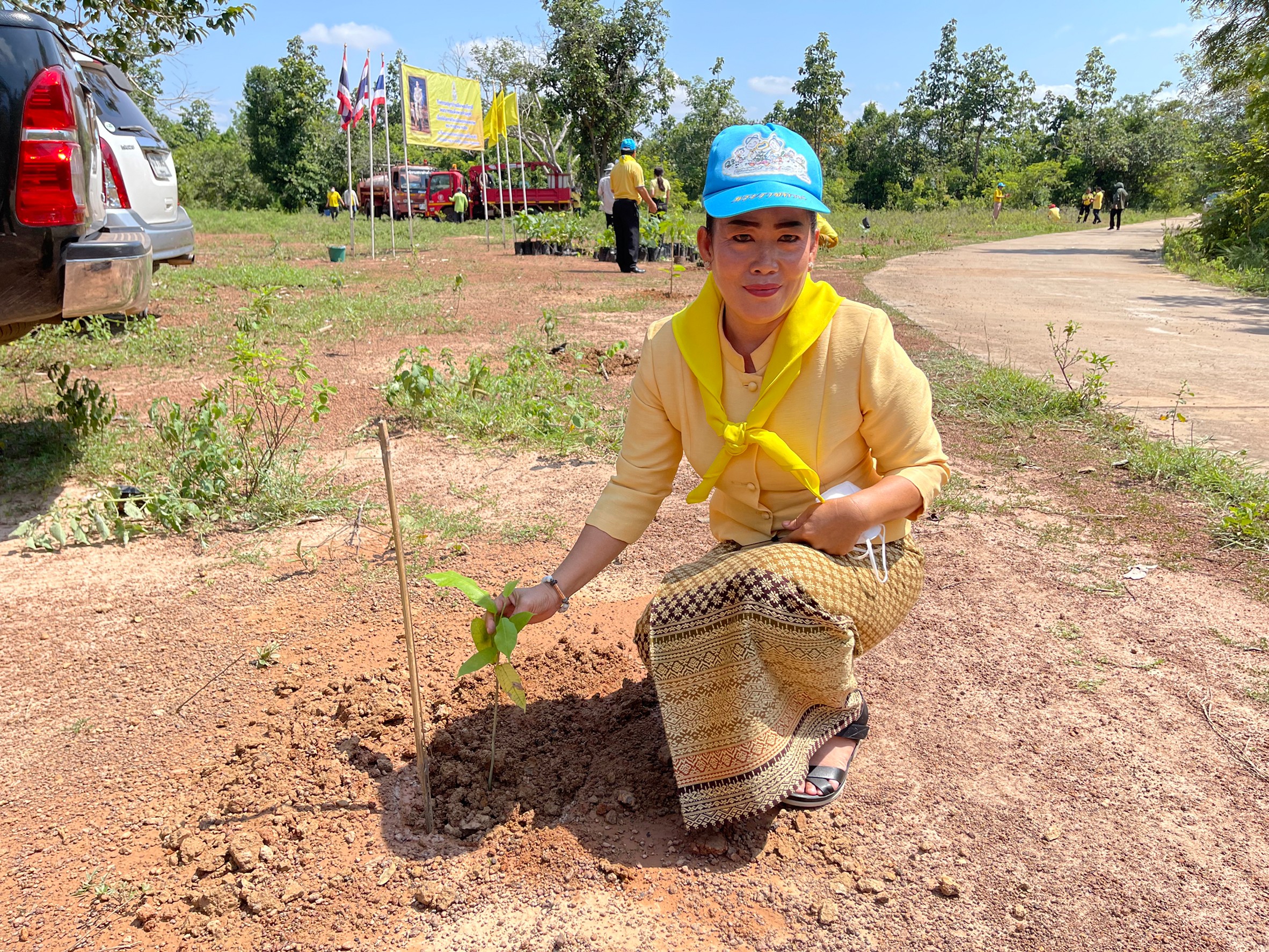 ภาพที่ 66