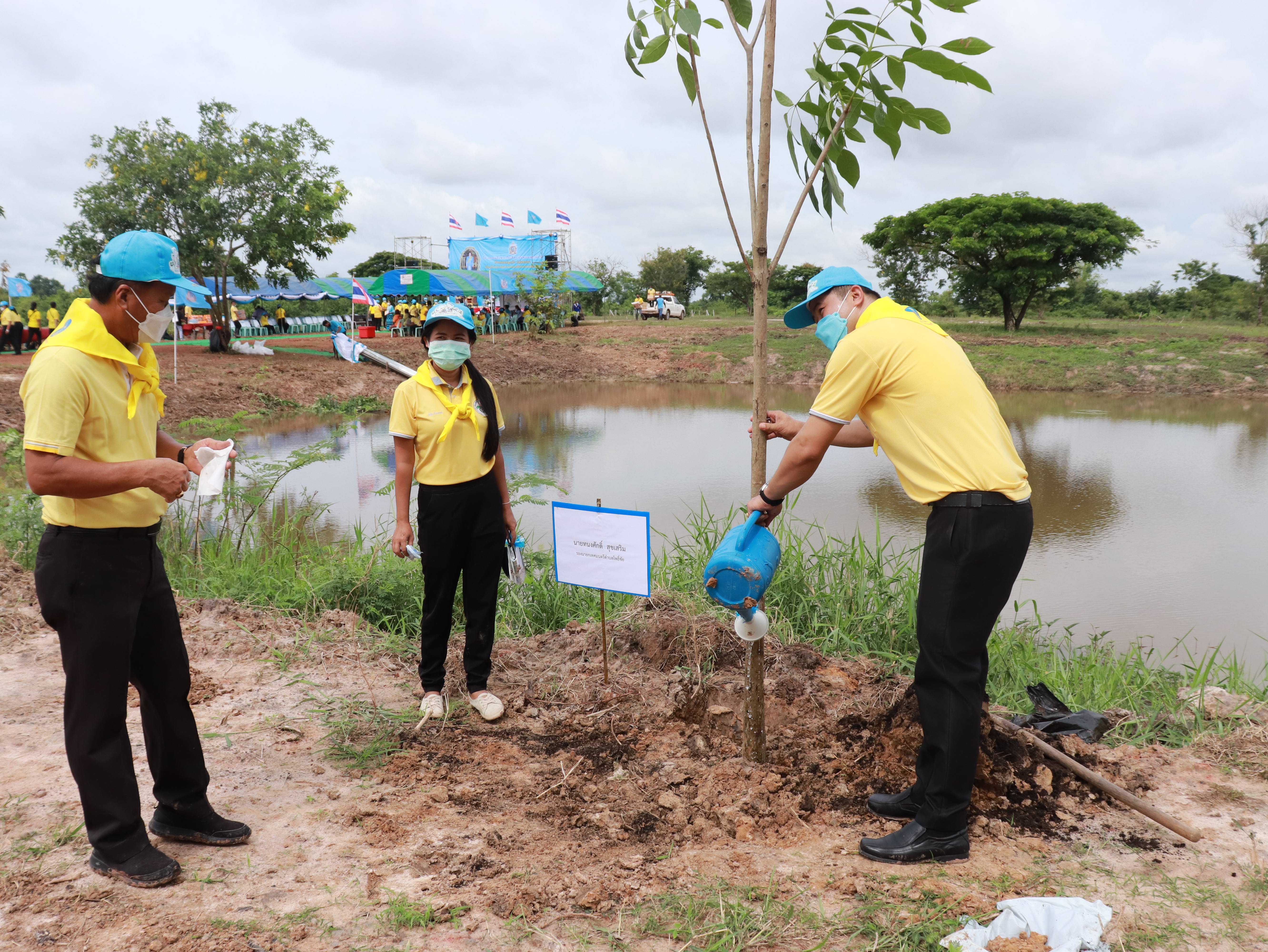 ภาพที่ 43