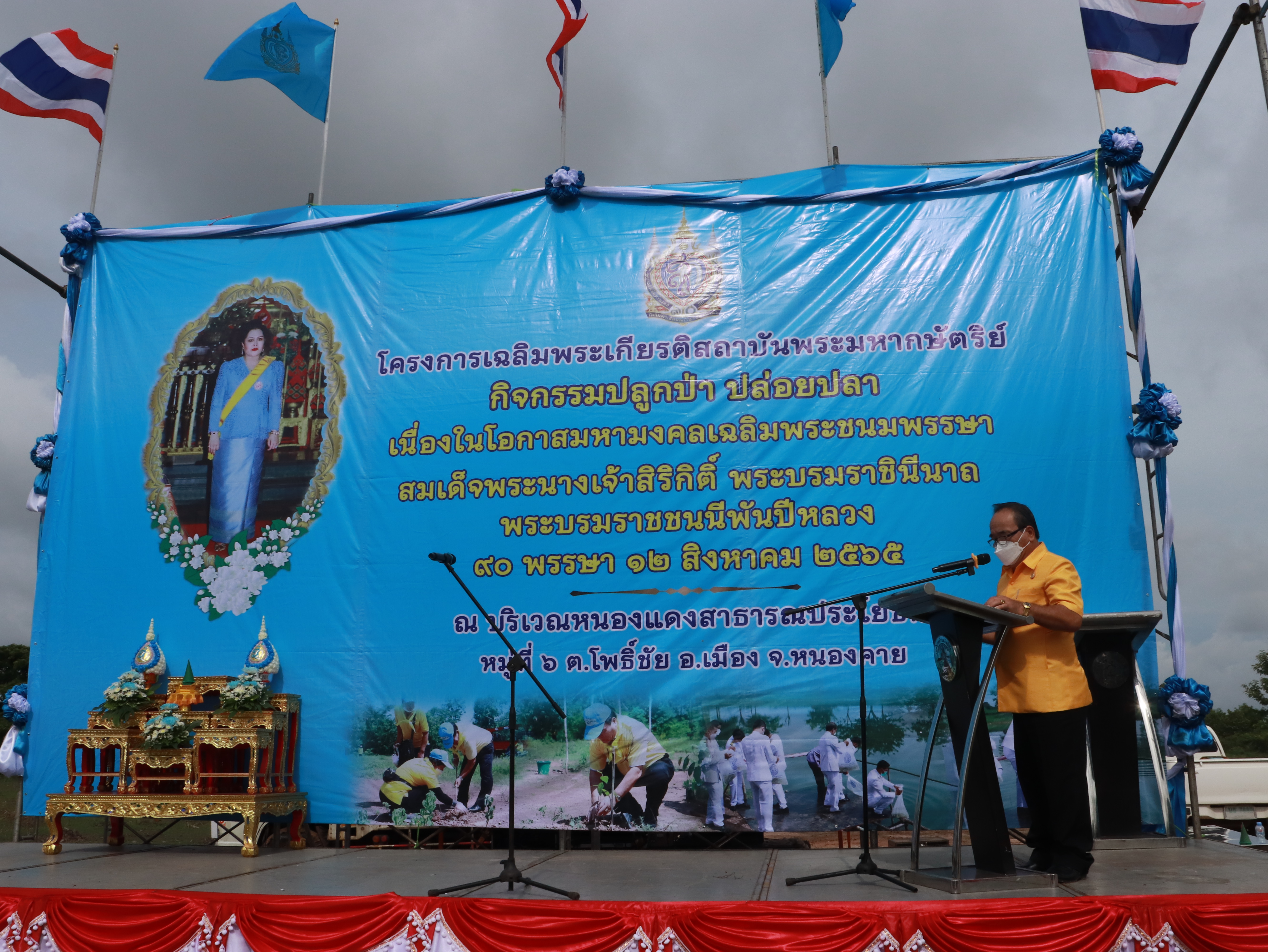 ภาพที่ 13