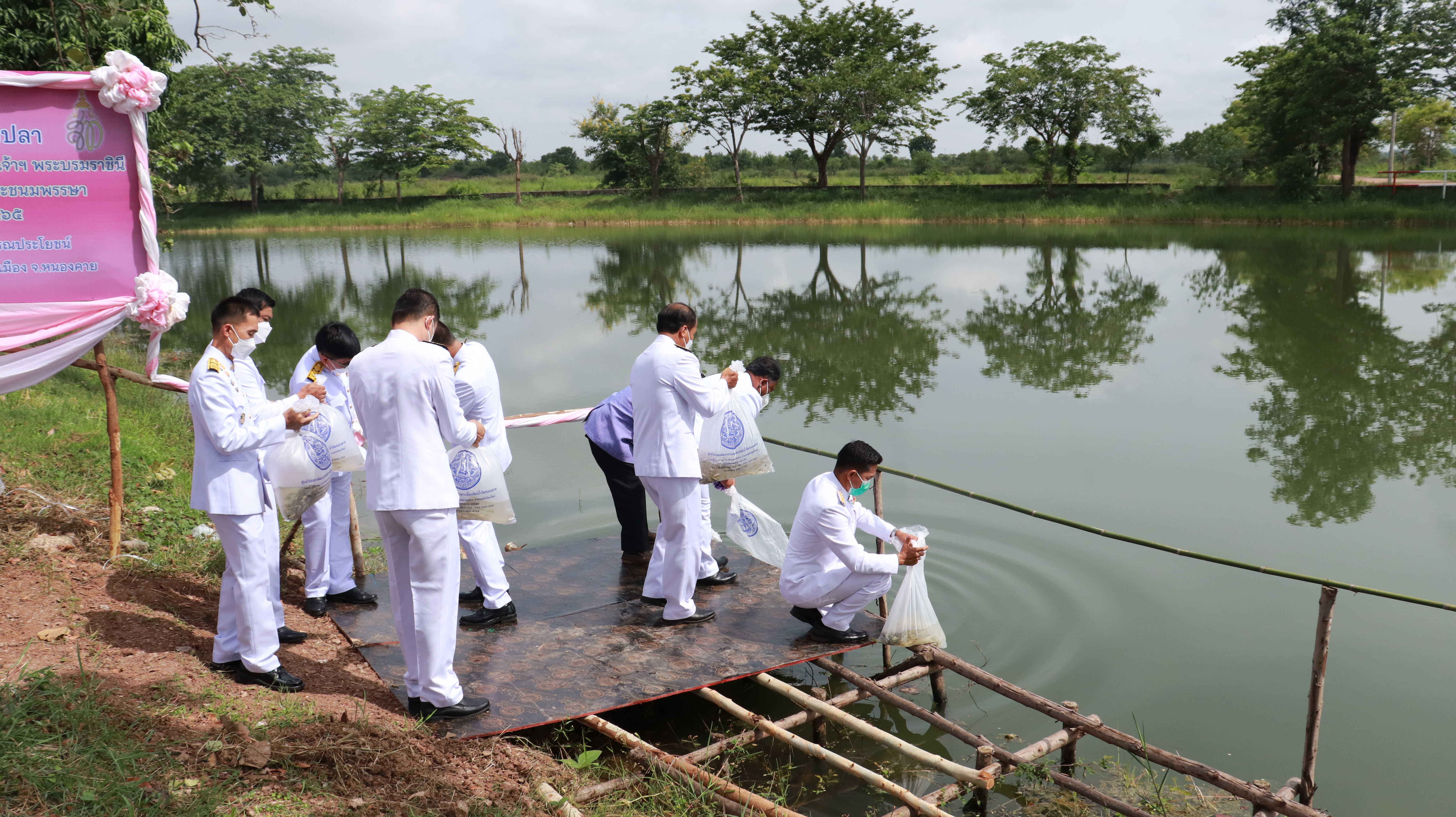 ภาพที่ 44