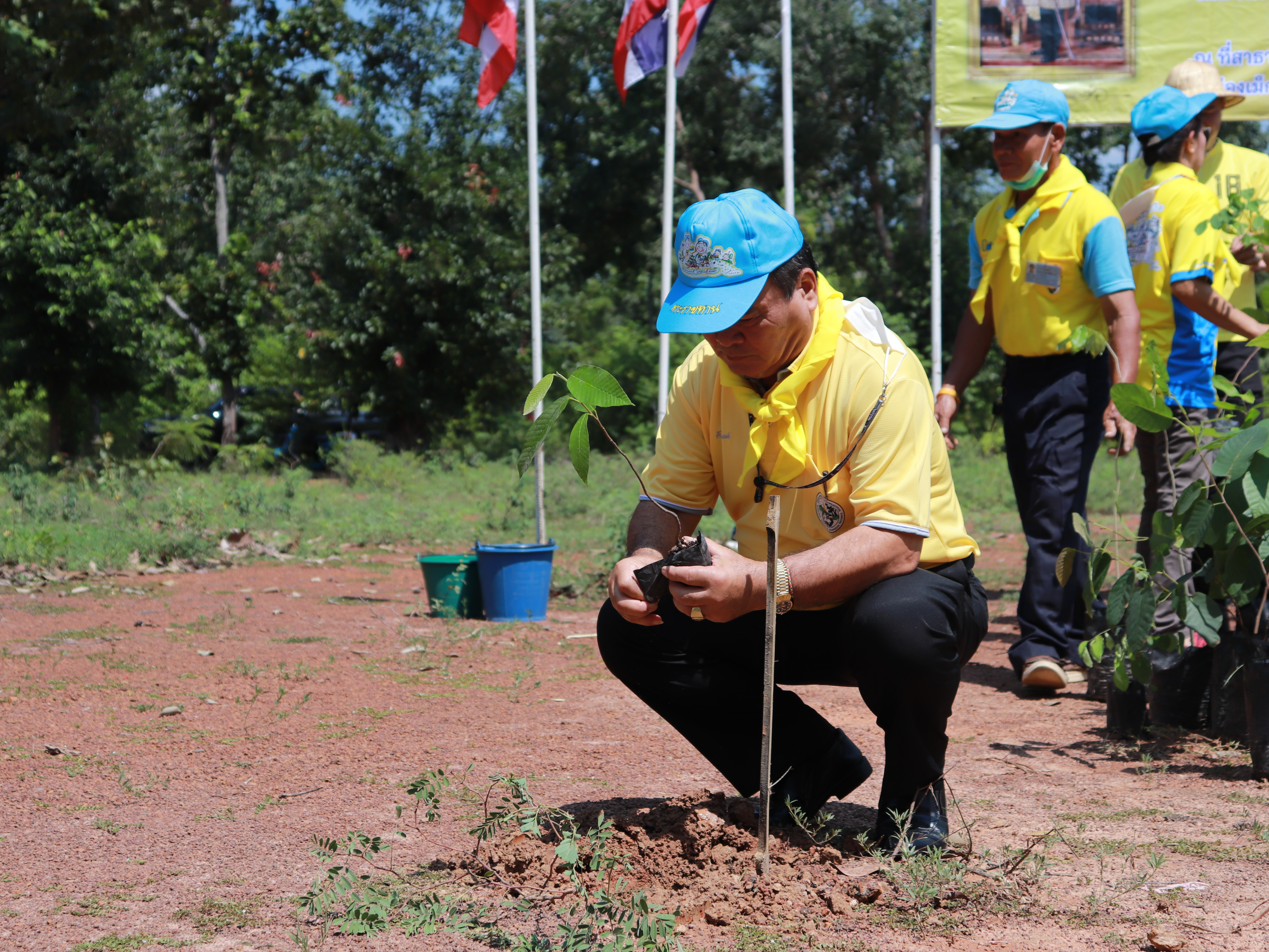 ภาพที่ 54