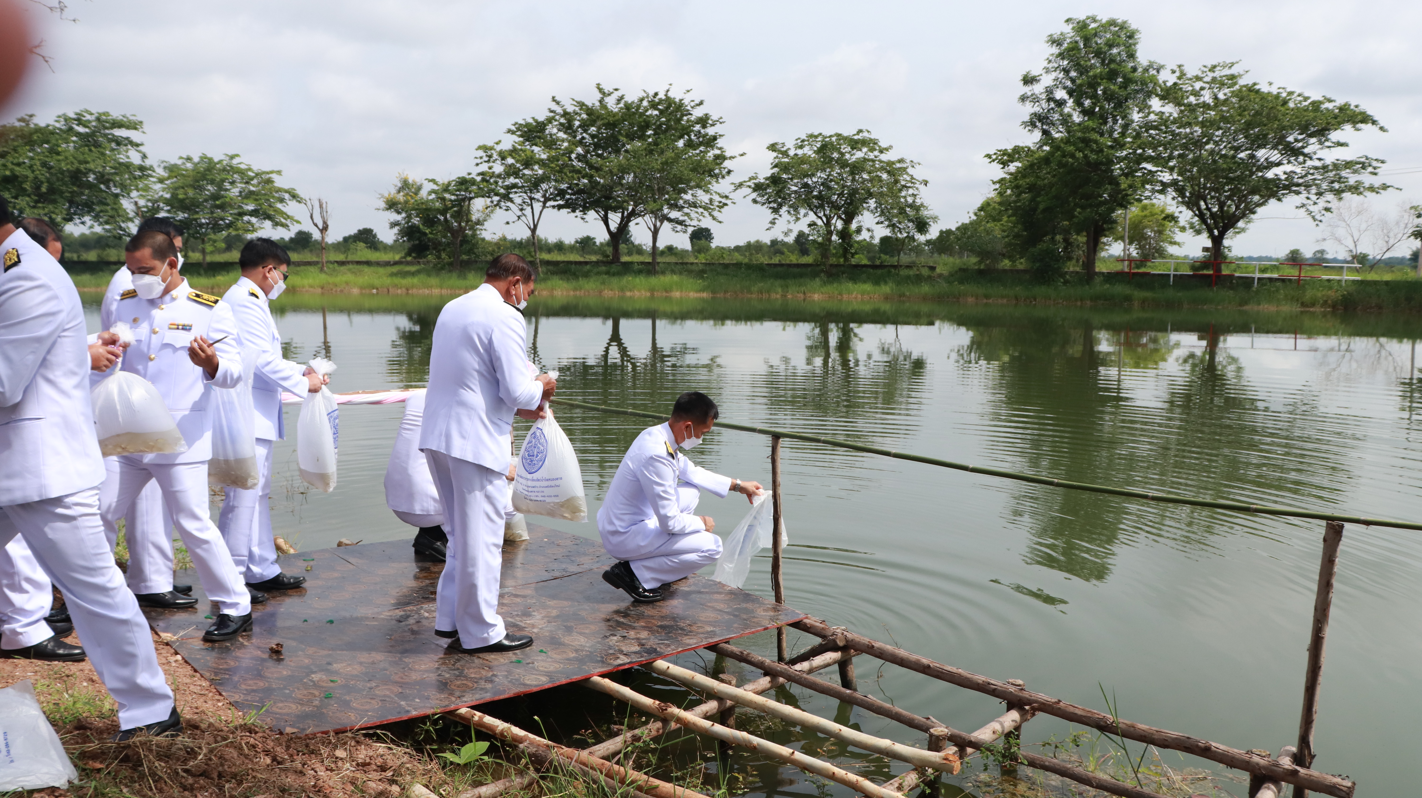ภาพที่ 45