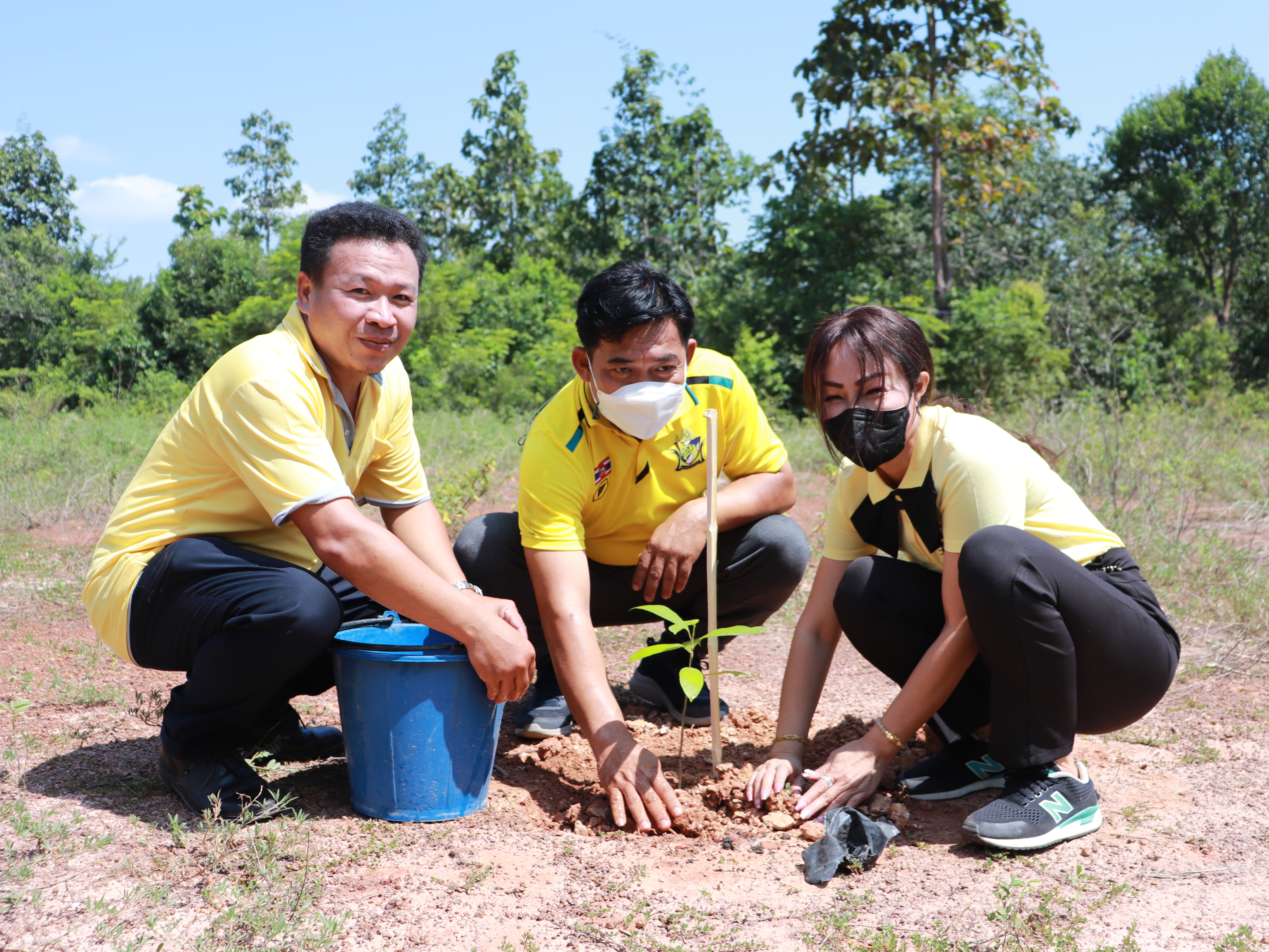 ภาพที่ 61
