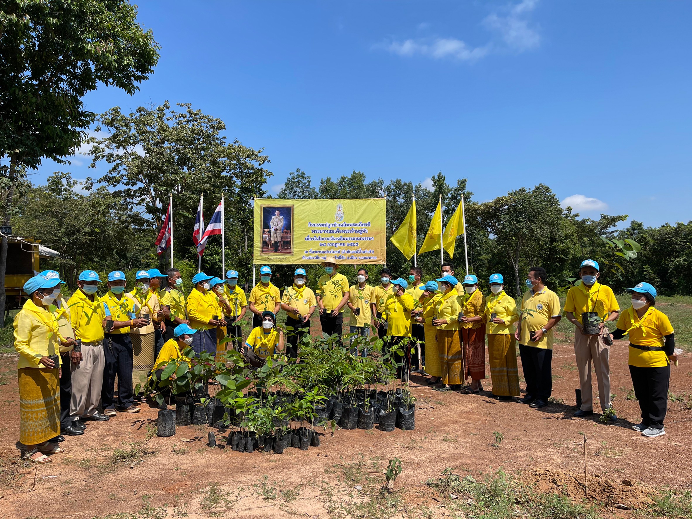 ภาพที่ 53