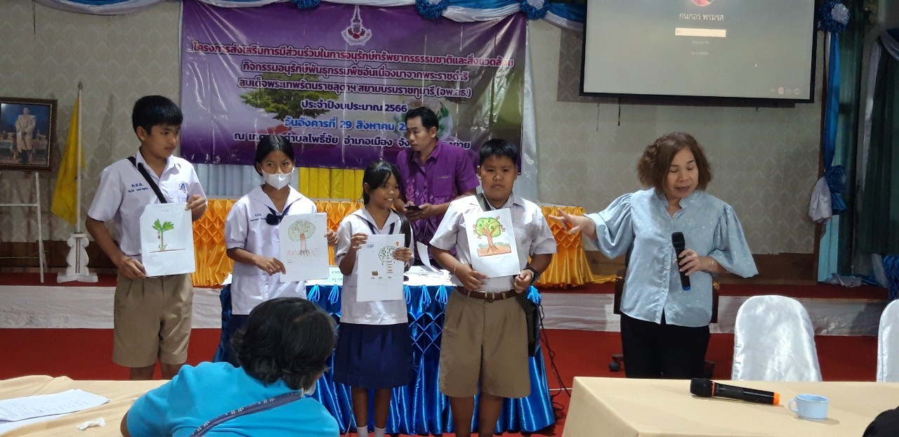 ภาพที่ 13