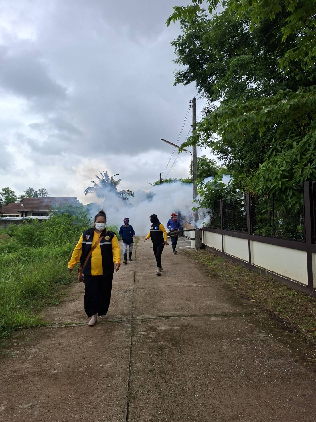 ภาพที่ 8